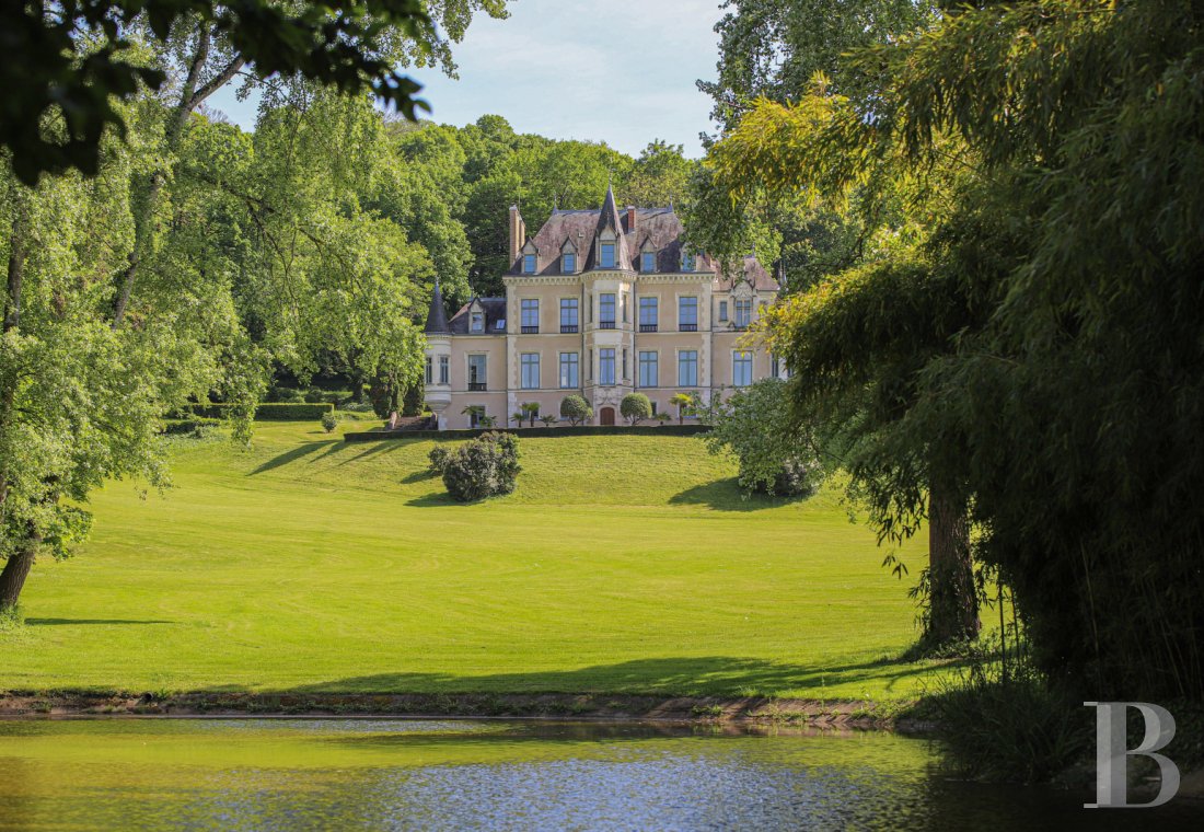 chateaux a vendre pays de loire   - 1