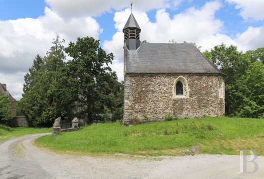 chateaux a vendre basse normandie   - 17