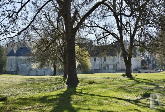 chateaux for sale France champagne ardennes   - 18