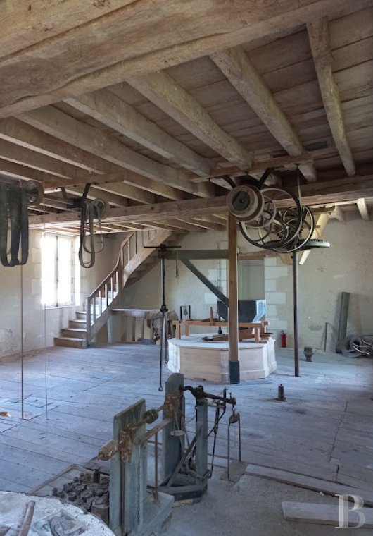 mills for sale France center val de loire   - 7