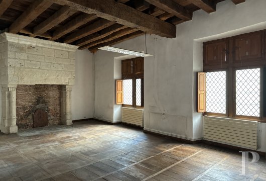 mansion houses for sale France aquitaine   - 6