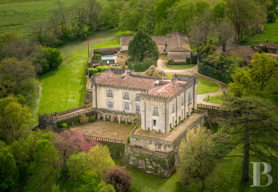 chateaux for sale France poitou charentes   - 1