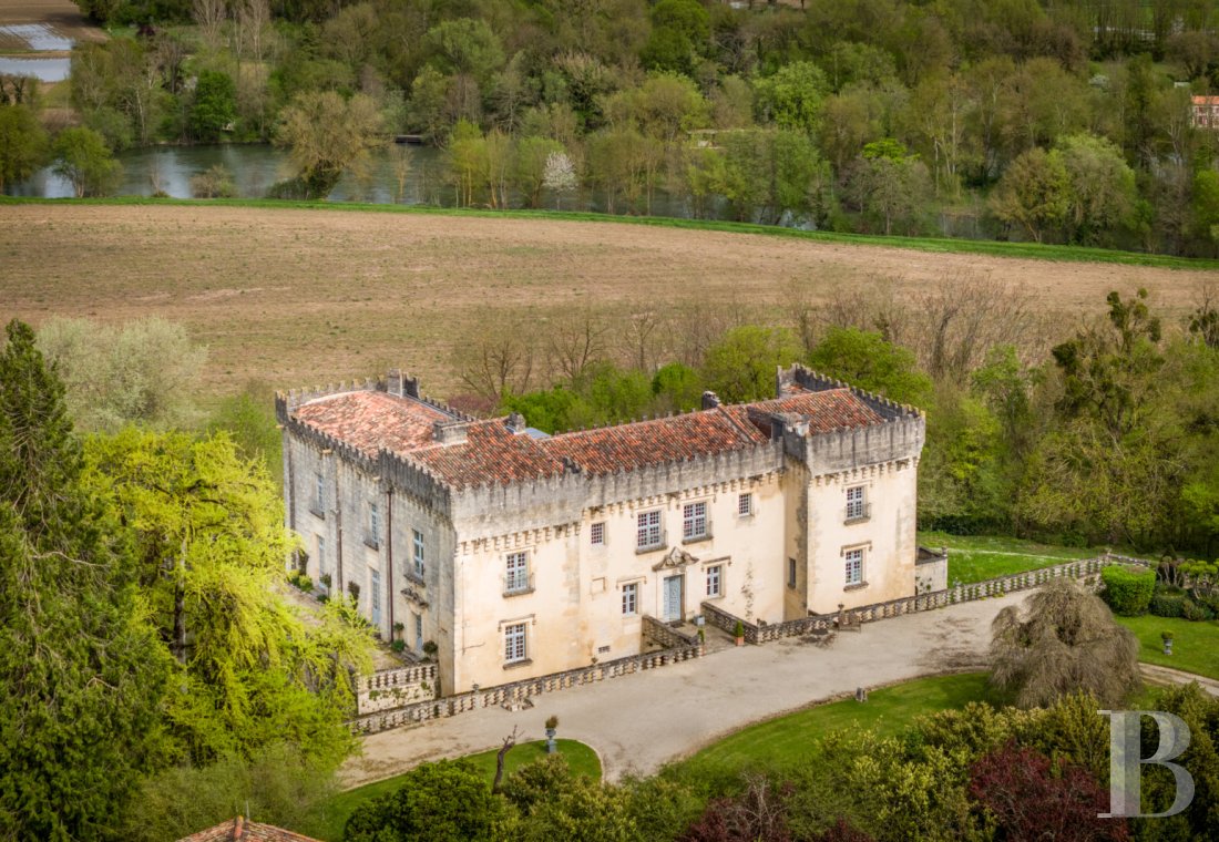 chateaux for sale France poitou charentes   - 4