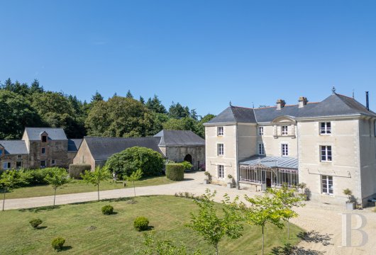 chateaux for sale France pays de loire   - 3