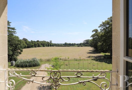 chateaux a vendre pays de loire   - 16