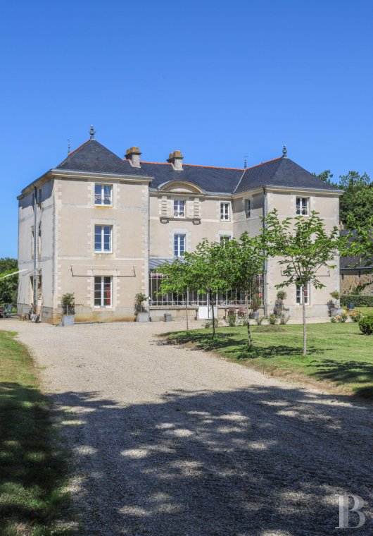 chateaux for sale France pays de loire   - 4