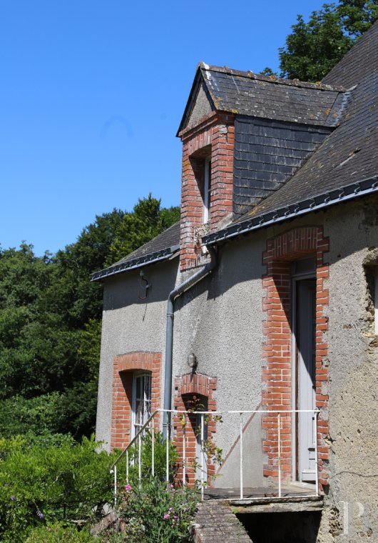 chateaux for sale France pays de loire   - 20