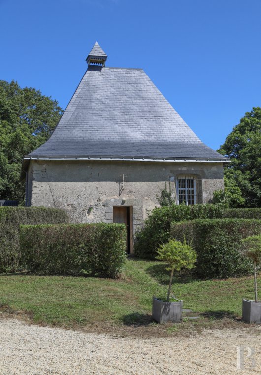 chateaux for sale France pays de loire   - 18