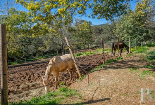 french equestrian properties for sale provence cote dazur   - 17