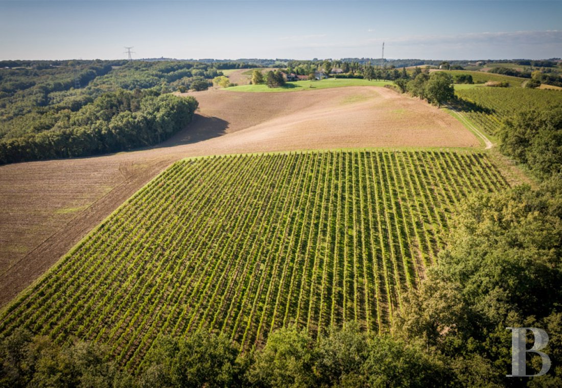 french farms for sale aquitaine   - 20