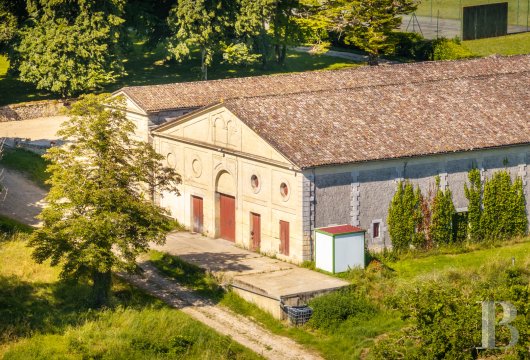 vineyards for sale France aquitaine   - 21