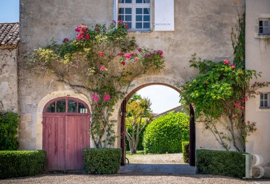 vineyards for sale France aquitaine   - 17