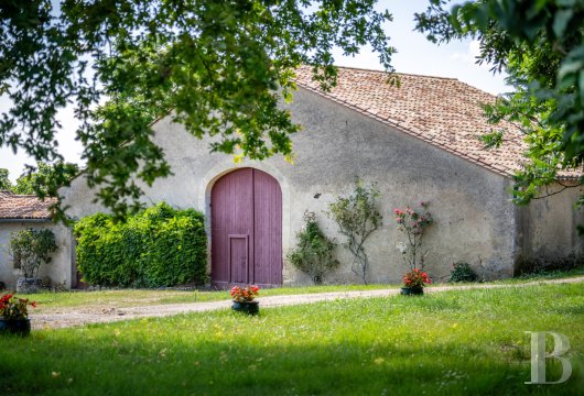 vineyards for sale France aquitaine   - 19