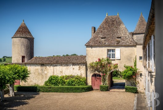 vineyards for sale France aquitaine   - 6