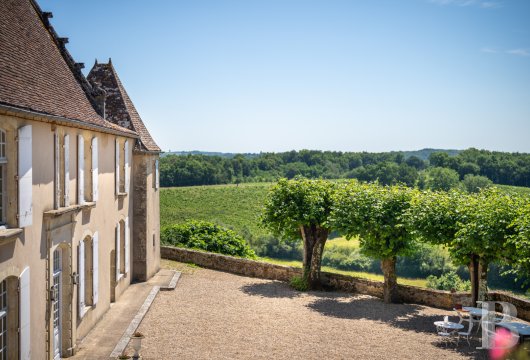 vineyards for sale France aquitaine   - 8