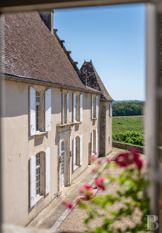 vineyards for sale France aquitaine   - 7