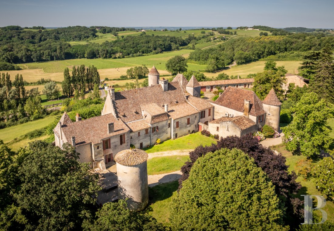 vineyards for sale France aquitaine   - 4