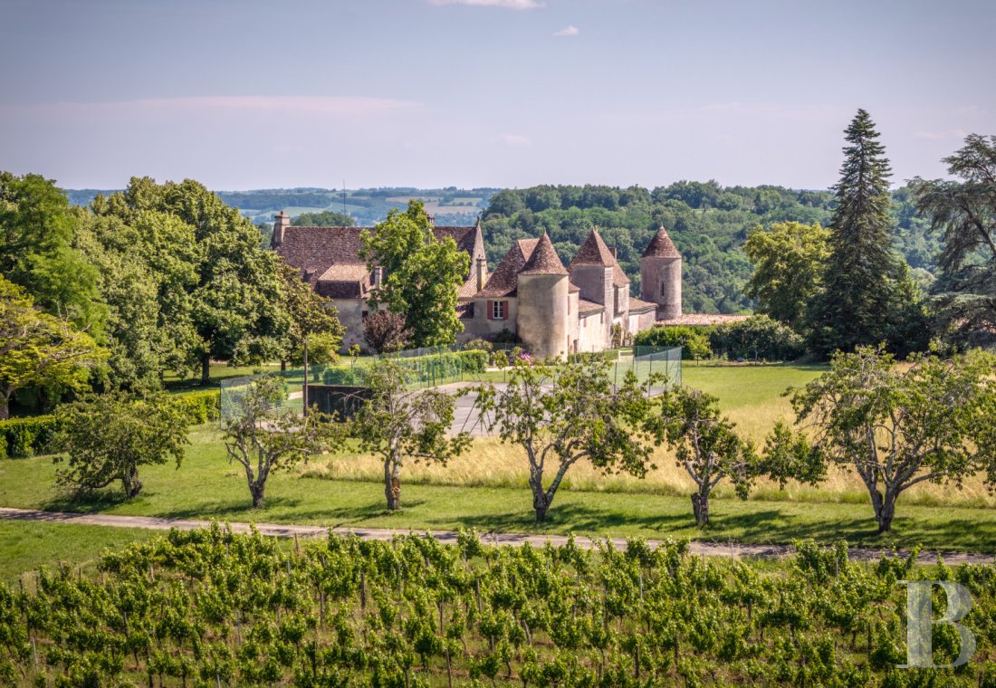 vineyards for sale France aquitaine   - 5