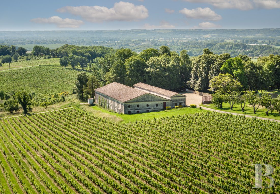 vineyards for sale France aquitaine   - 20