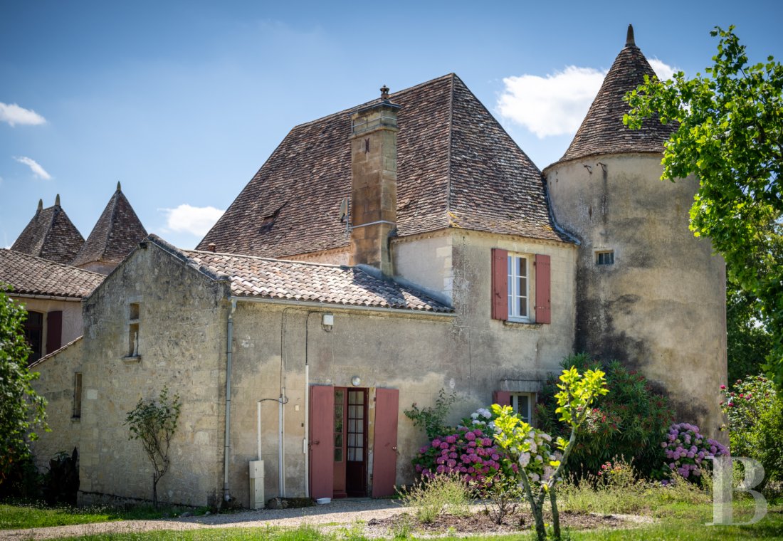 vineyards for sale France aquitaine   - 25