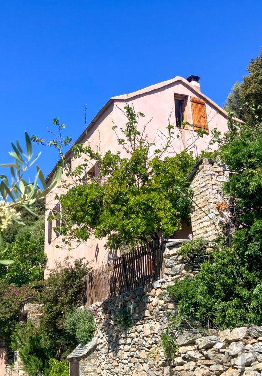 french village houses for sale corse   - 3