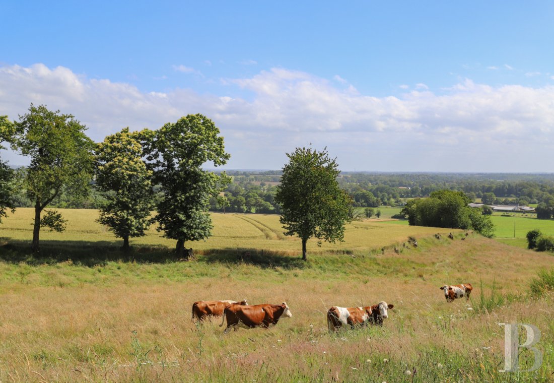 manoirs a vendre pays de loire   - 17