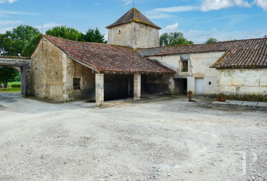 manoirs a vendre poitou charentes   - 8