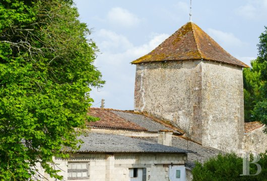 manoirs a vendre poitou charentes   - 10