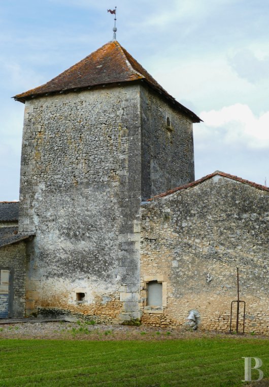 manoirs a vendre poitou charentes   - 9