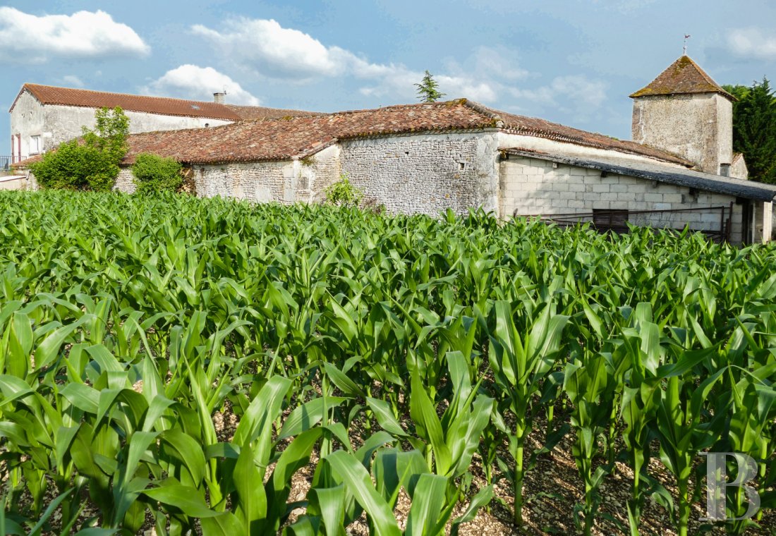 manoirs a vendre poitou charentes   - 11