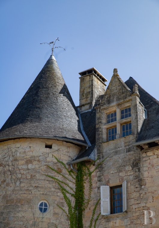 chateaux a vendre limousin   - 4