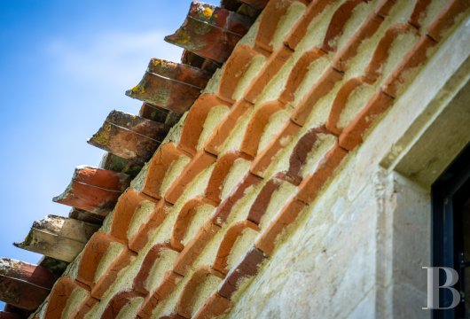 maisons de caractere a vendre midi pyrenees   - 6