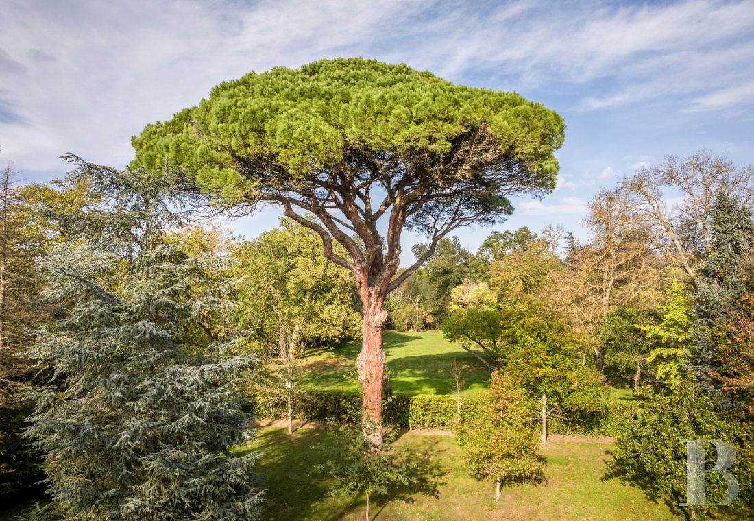 character properties France midi pyrenees   - 5