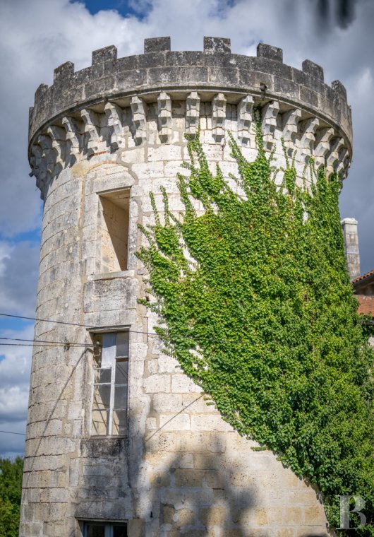 chateaux for sale France poitou charentes   - 3