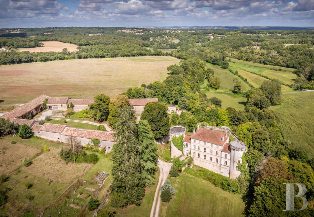 chateaux for sale France poitou charentes   - 1