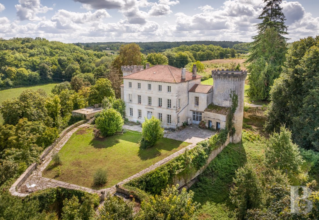 chateaux a vendre poitou charentes   - 2