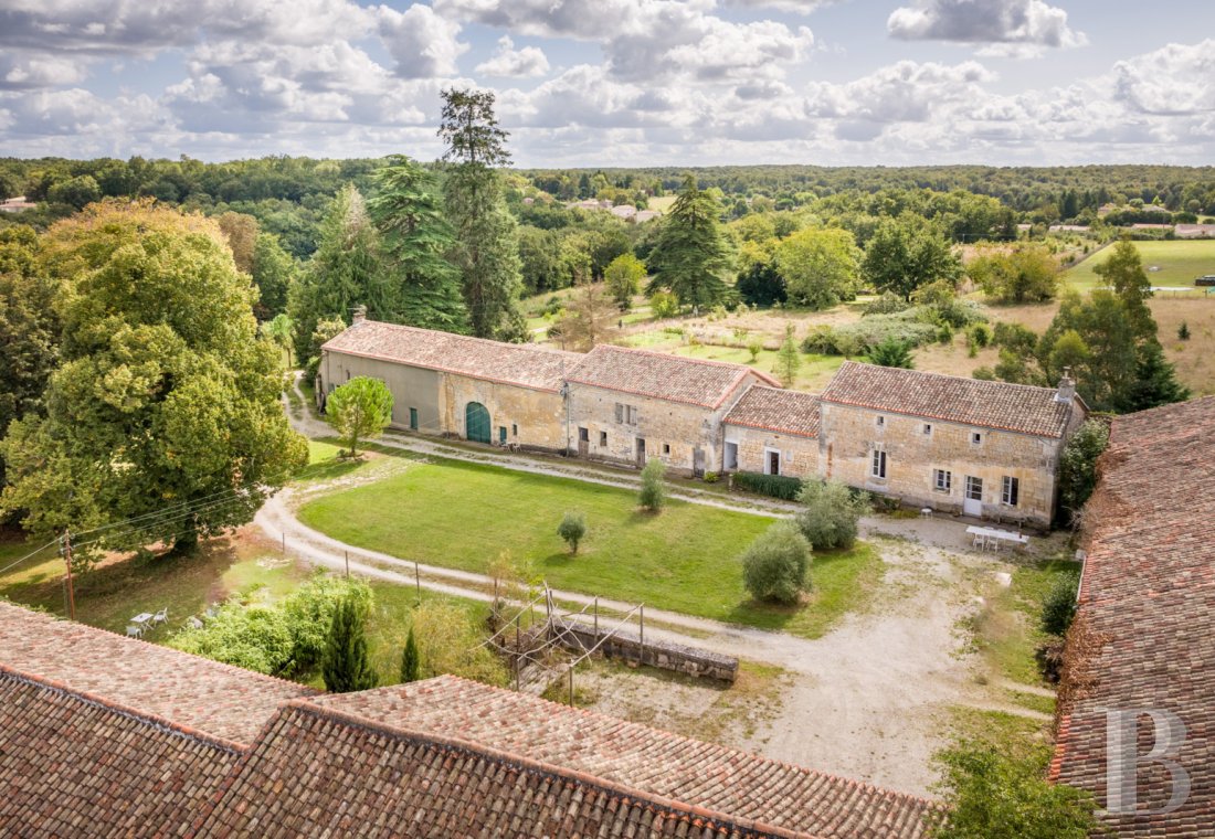 chateaux for sale France poitou charentes   - 17