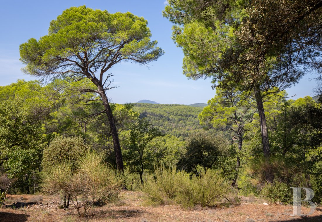 maisons de caractere a vendre paca   - 21