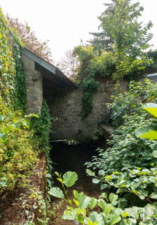 maisons de caractere a vendre ile de france   - 11