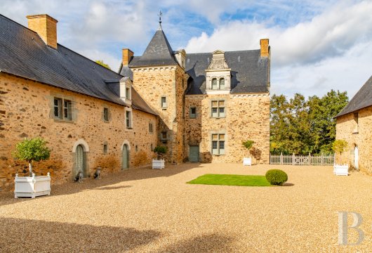 chateaux for sale France pays de loire   - 3