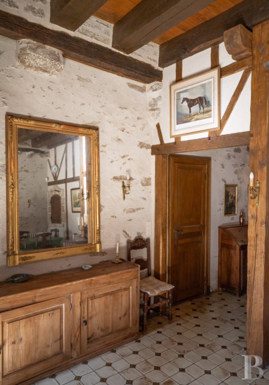 mansion houses for sale France limousin   - 10