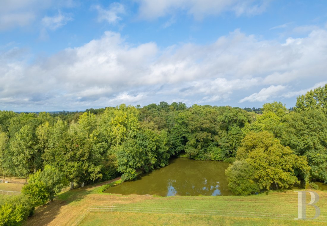 chateaux for sale France pays de loire   - 20