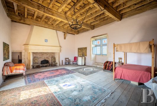 chateaux for sale France midi pyrenees   - 15