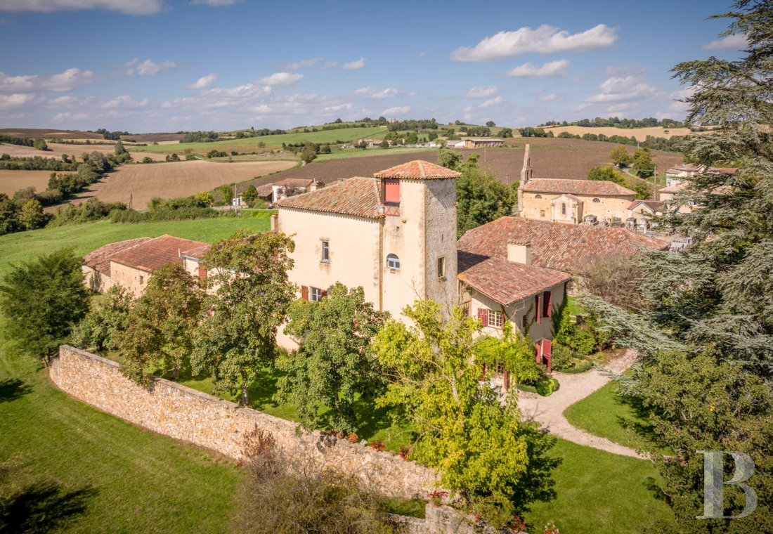 chateaux for sale France midi pyrenees   - 2