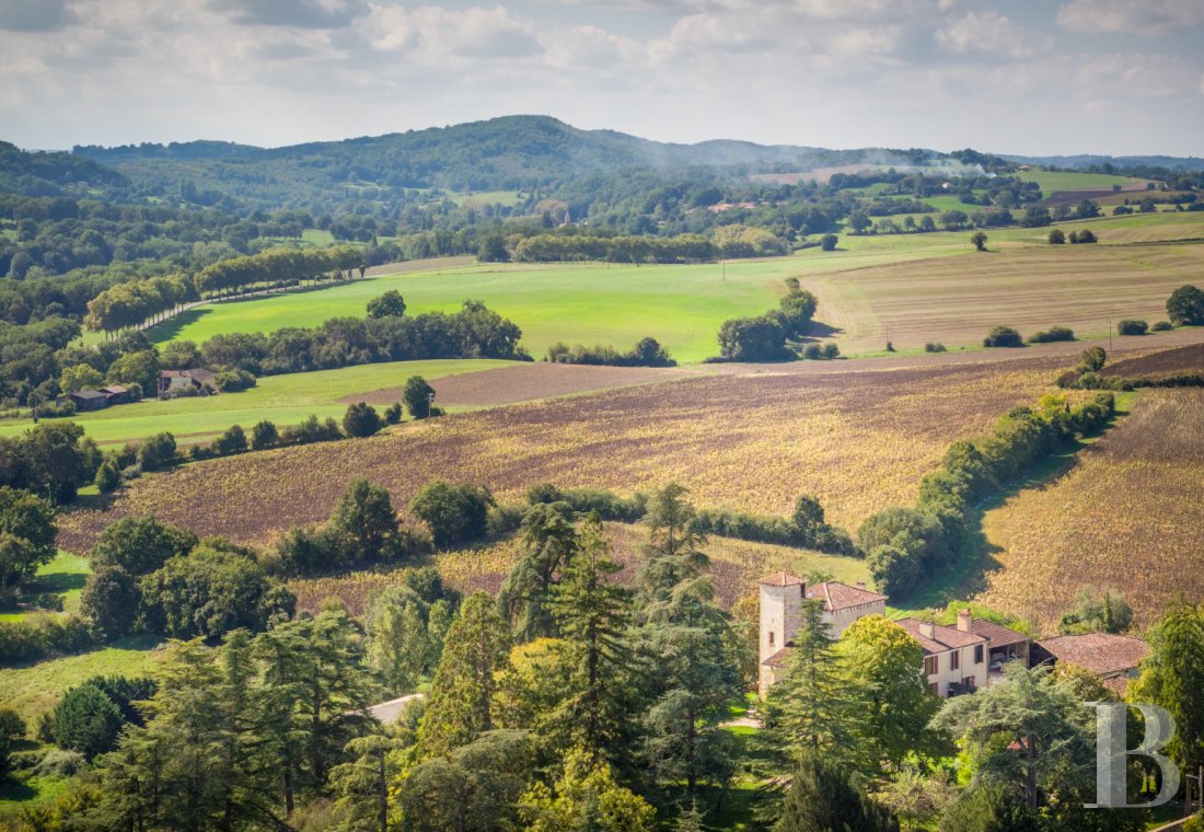 chateaux for sale France midi pyrenees   - 20