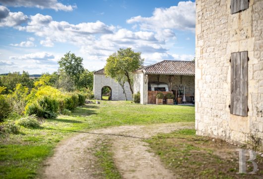 chateaux for sale France midi pyrenees   - 18