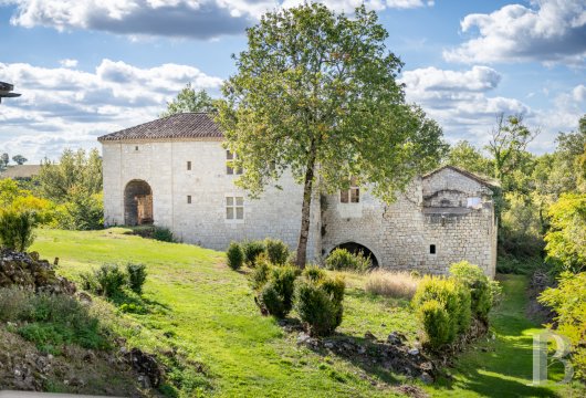 chateaux for sale France midi pyrenees   - 5