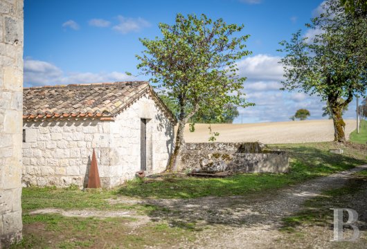 chateaux for sale France midi pyrenees   - 19