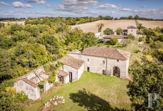 chateaux for sale France midi pyrenees   - 3