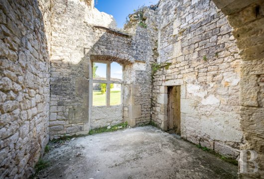 chateaux for sale France midi pyrenees   - 13